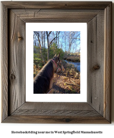 horseback riding near me in West Springfield, Massachusetts